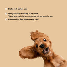 Load image into Gallery viewer, BELLY - NEAT DOG - FRAGRANCE VANILLA & ORANGE