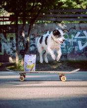 Load image into Gallery viewer, VEGDOG - MOBILITIES