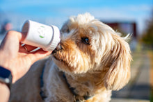 Load image into Gallery viewer, DOGGYROLLER - DOGGYPUMPER - DOG FOOD DISPENSER