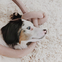 Load image into Gallery viewer, LAMBWOLF COLLECTIVE - NOUNOU