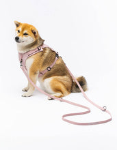 Load image into Gallery viewer, UNITED PETS - NYLON TRAINING LEASH - PINK