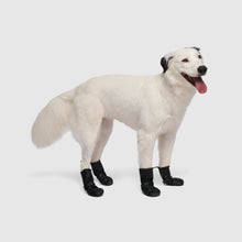 Load image into Gallery viewer, CANADA POOCH - WATERPROOF RAIN BOOTS - BLACK