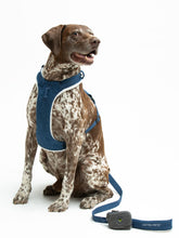 Load image into Gallery viewer, UNITED PETS - LEASH WITH PADDED HANDLE - DENIM