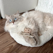 Load image into Gallery viewer, LAMBWOLF COLLECTIVE - KITTY TEA TIME