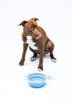 Load image into Gallery viewer, UNITED PETS - FOLDABLE TRAVEL BOWL