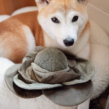 Load image into Gallery viewer, LAMBWOLF COLLECTIVE - CABBAGE