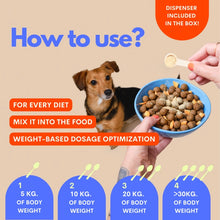 Load image into Gallery viewer, JAMPY - THE GOOD BOY - MULTIVITAMIN