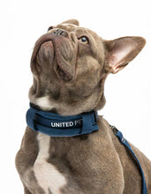 Load image into Gallery viewer, UNITED PETS - PADDED SOFT COLLAR - DENIM
