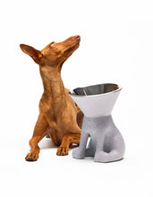 Load image into Gallery viewer, UNITED PETS - ELIZABETH - THE QUEEN OF BOWL