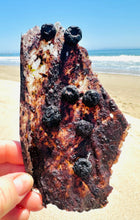 Load image into Gallery viewer, FUR MONSTER GOODIES - BISON BARK - AIR DRIED JERKEY