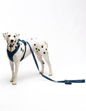 Load image into Gallery viewer, UNITED PETS - SOFT PADDED LEASH - DENIM