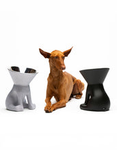 Load image into Gallery viewer, UNITED PETS - ELIZABETH - THE QUEEN OF BOWL