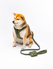 Load image into Gallery viewer, UNITED PETS - SOFT PADDED LEASH - GREEN