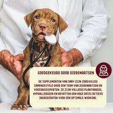 Load image into Gallery viewer, IMBY - ALLERGY & ITCH SUPPLEMENT