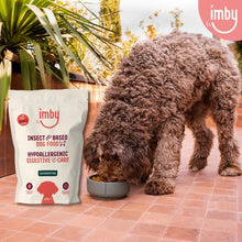 Load image into Gallery viewer, IMBY - GASTROINTESTINAL