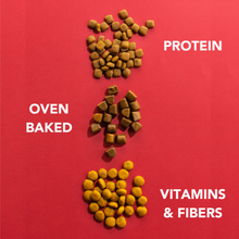 Load image into Gallery viewer, IMBY - INSECT BASED - PUPPY