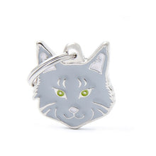 Load image into Gallery viewer, MY FAMILY - SILVER TABBY MAINE COON