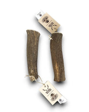 Load image into Gallery viewer, MR. BONES - DEER ANTLER