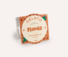 Load image into Gallery viewer, FLOWIS - ITALIAN ICE CREAM - DIFFERENT TASTES