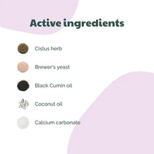 Load image into Gallery viewer, BUDDY PET FOOD - TICK & FLEA DEFENCE