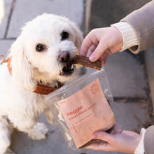 Load image into Gallery viewer, BUDDY PET FOOD - NO-MEAT FILETS - VEGGIE & SWEET POTATO