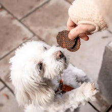 Load image into Gallery viewer, BUDDY PET FOOD - MEATY BURGERS - VENISON