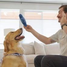 Load image into Gallery viewer, WEST PAW - THE DOG'S BEST FRIEND GAME