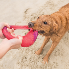 Load image into Gallery viewer, WEST PAW - SEAFLEX SAILZ