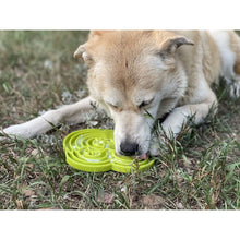 Load image into Gallery viewer, SODAPUP - WATER FROG E-TRAY - DIFFERENT COLOURS