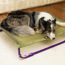 Load image into Gallery viewer, ZEE.DOG - AIR.BED GREEN