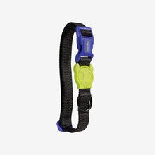 Load image into Gallery viewer, ZEE.DOG - NOX COLLAR