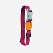 Load image into Gallery viewer, ZEE.DOG - NOX SIDUS COLLAR