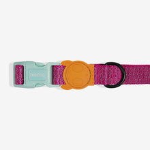 Load image into Gallery viewer, ZEE.DOG - NOX SIDUS COLLAR