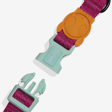 Load image into Gallery viewer, ZEE.DOG - NOX SIDUS COLLAR