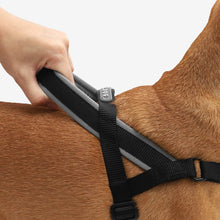 Load image into Gallery viewer, ZEE.DOG - GOTHAM SOFTER WALK HARNESS