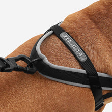 Load image into Gallery viewer, ZEE.DOG - GOTHAM SOFTER WALK HARNESS
