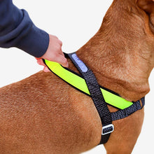 Load image into Gallery viewer, ZEE.DOG - NOX SOFTER WALK HARNESS