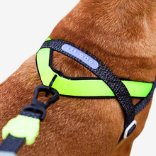 Load image into Gallery viewer, ZEE.DOG - NOX SOFTER WALK HARNESS