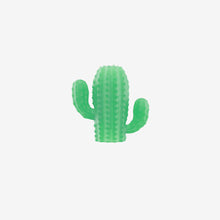 Load image into Gallery viewer, ZEE.PINZ - CACTUS