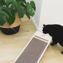 Load image into Gallery viewer, KENNY SCRATCHER