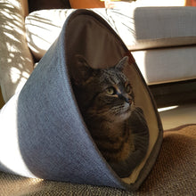 Load image into Gallery viewer, CUDDLY CAVE SCOTT