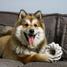 Load image into Gallery viewer, BEN - BRAIDED RING BEIGE LINE