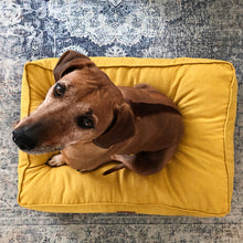 Load image into Gallery viewer, D&D HOME COLLECTION - EVE - RETRO PILLOW