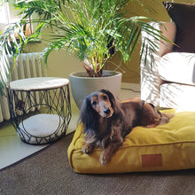 Load image into Gallery viewer, D&D HOME COLLECTION - EVE - RETRO PILLOW