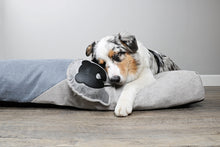 Load image into Gallery viewer, BOBO - DOG FLOOR TOY