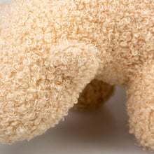 Load image into Gallery viewer, D&D HOME COLLECTION - BENJO