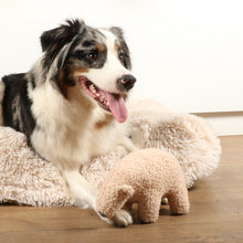 Load image into Gallery viewer, D&D HOME COLLECTION - BENJO