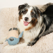 Load image into Gallery viewer, D&D HOME COLLECTION - ISLA