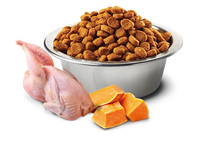 Load image into Gallery viewer, FARMINA PUMPKIN - QUAIL, PUMPKIN AND POMEGRANATE - ADULT