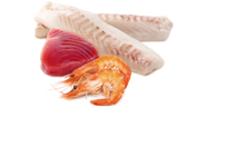 Load image into Gallery viewer, FARMINA OCEAN - ADULT CAT - TUNA, COD & SHRIMPS